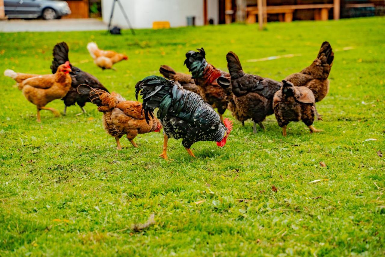 Farma Zelena Ruza Villa Klacno Luaran gambar