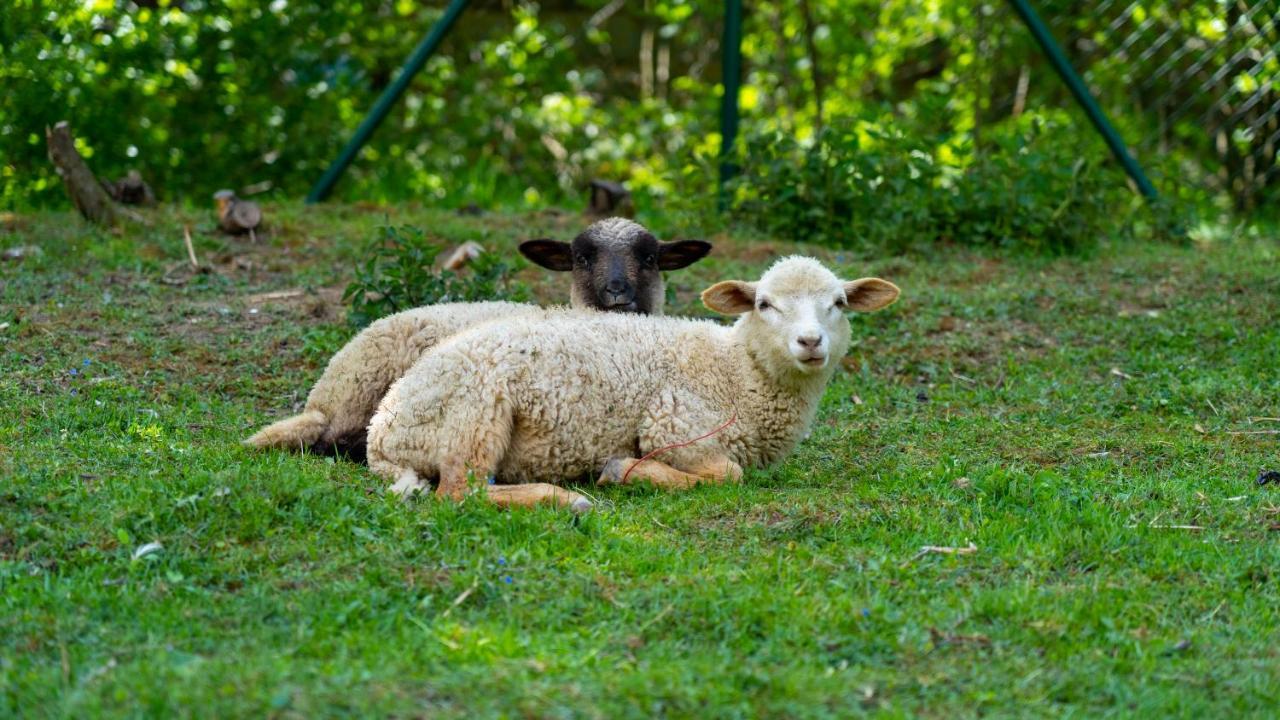 Farma Zelena Ruza Villa Klacno Luaran gambar