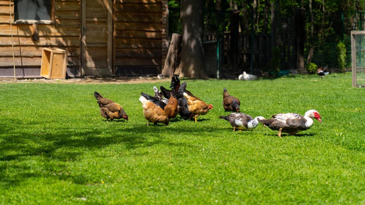 Farma Zelena Ruza Villa Klacno Luaran gambar