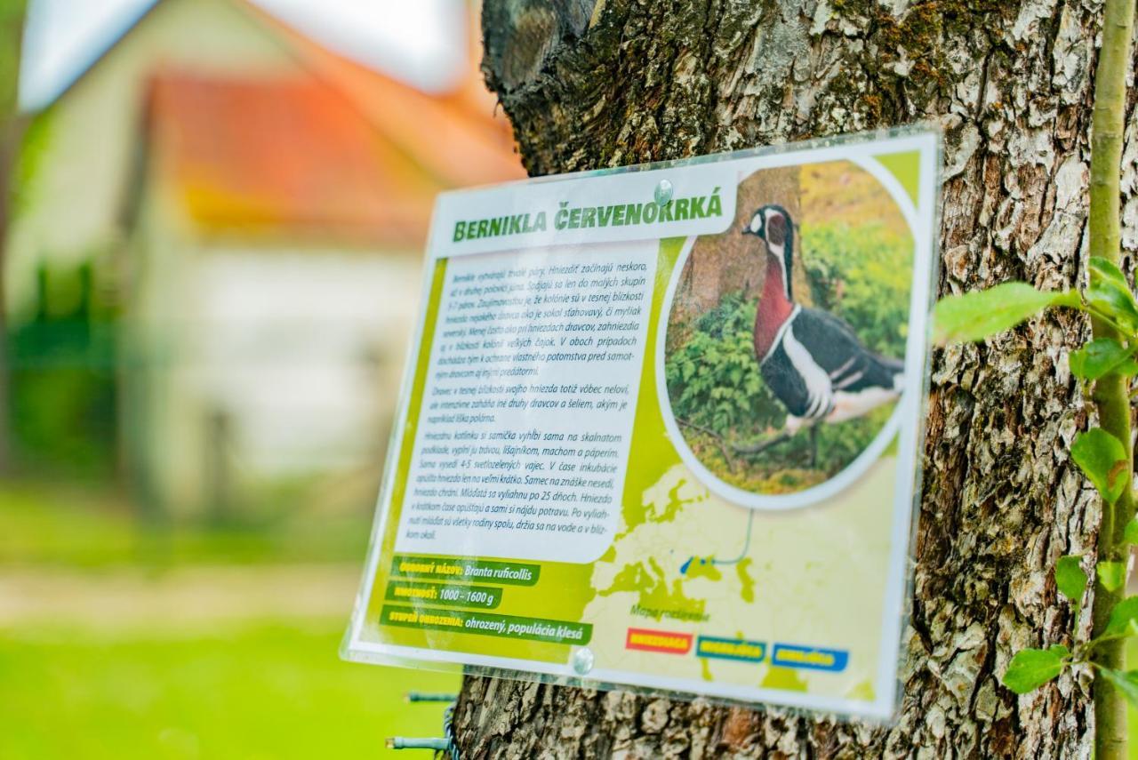 Farma Zelena Ruza Villa Klacno Luaran gambar