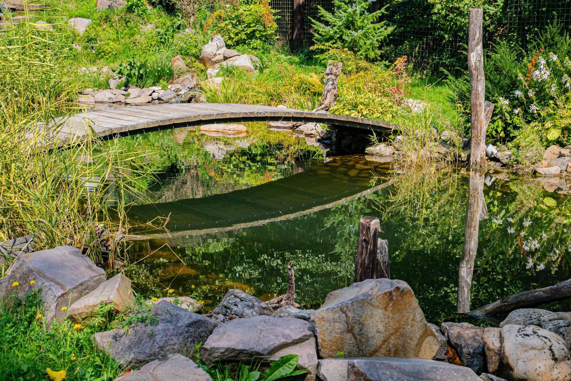 Farma Zelena Ruza Villa Klacno Luaran gambar